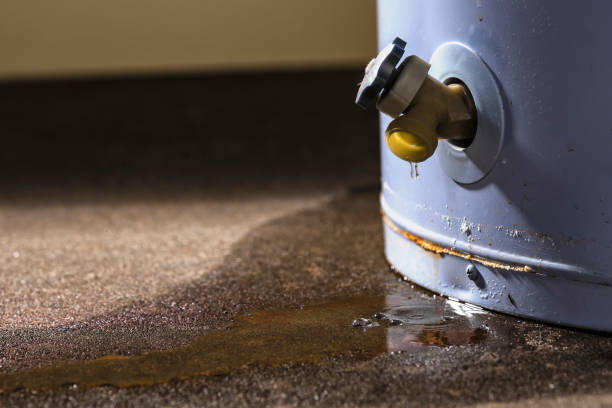  Eastern Goleta Valley, CA Water damage restoration Pros