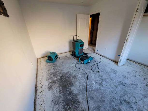 Best Ceiling water damage repair  in Eastern Goleta Valley, CA