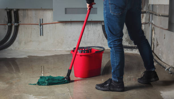 Best Flood damage cleanup  in Eastern Goleta Valley, CA