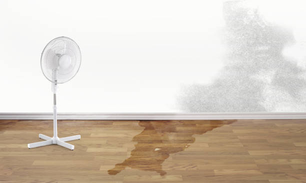 Water damage restoration experts in CA