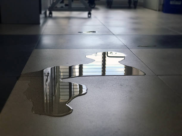 Best Water damage restoration near me  in Eastern Goleta Valley, CA