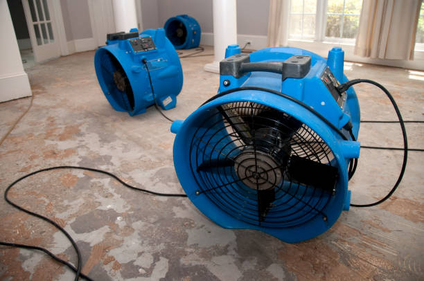 Best Flooded house restoration  in Eastern Goleta Valley, CA