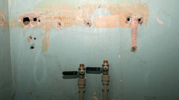 Best Carpet water damage restoration  in Eastern Goleta Valley, CA
