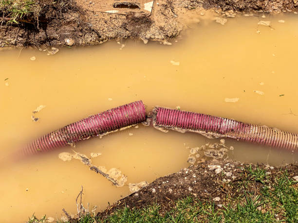 Best Water damage cleanup near me  in Eastern Goleta Valley, CA