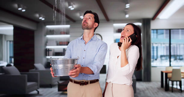 Best Basement water damage restoration  in Eastern Goleta Valley, CA